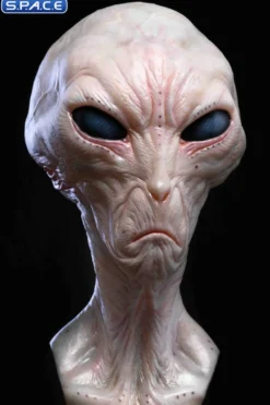1:1 Alien Grey Life-Size Bust