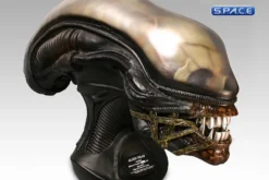 1:1 Alien Head Life-Size Replica