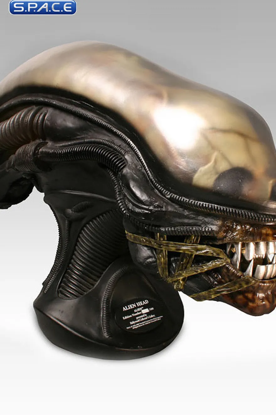 1:1 Alien Head Life-Size Replica