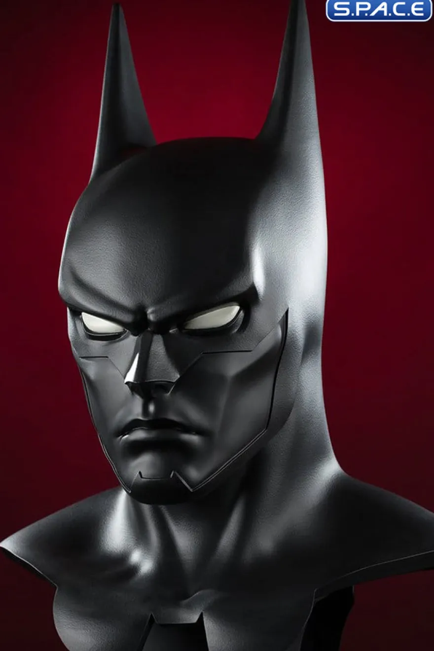 1:1 Batman Cowl Life-Size Replica