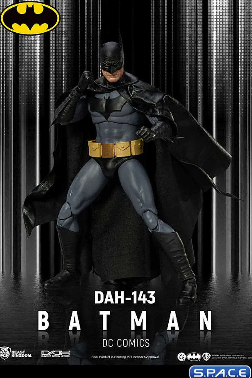 Batman Dynamic Action Heroes (DC Comics)