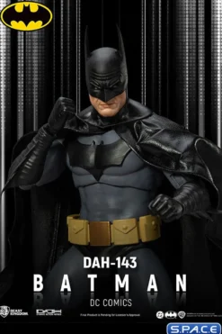 Batman Dynamic Action Heroes (DC Comics)