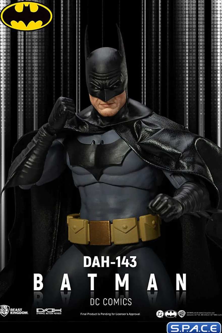 Batman Dynamic Action Heroes (DC Comics)