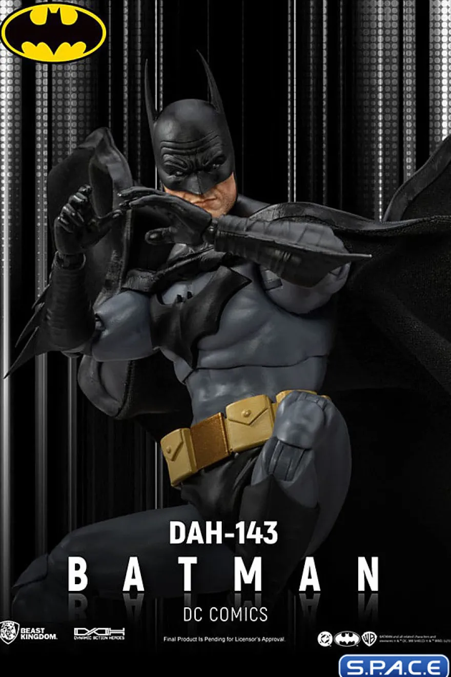 Batman Dynamic Action Heroes (DC Comics)