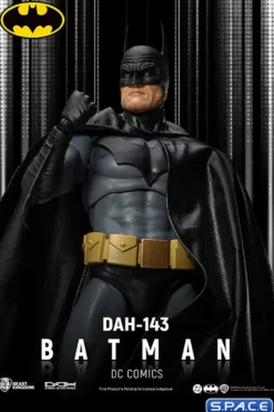 Batman Dynamic Action Heroes (DC Comics)