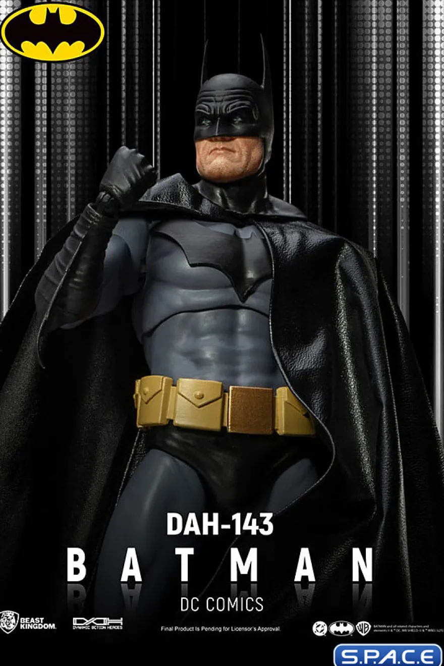Batman Dynamic Action Heroes (DC Comics)