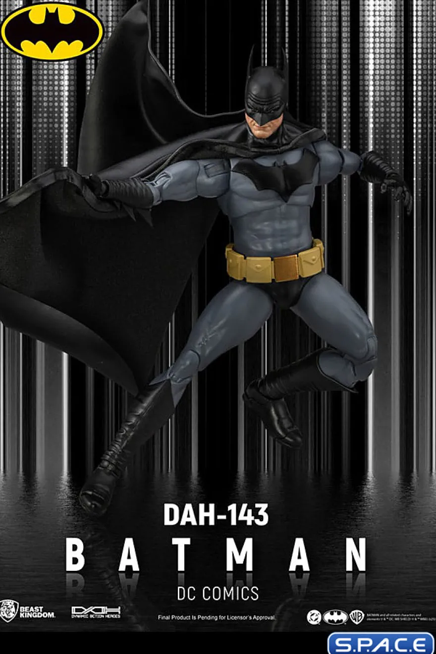 Batman Dynamic Action Heroes (DC Comics)