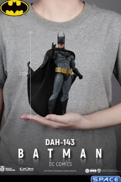 Batman Dynamic Action Heroes (DC Comics)