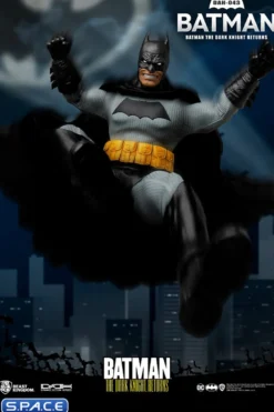Batman Dynamic 8ction Heroes