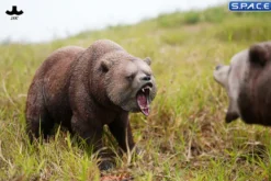 Brown Bear