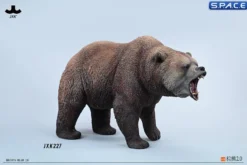 Brown Bear