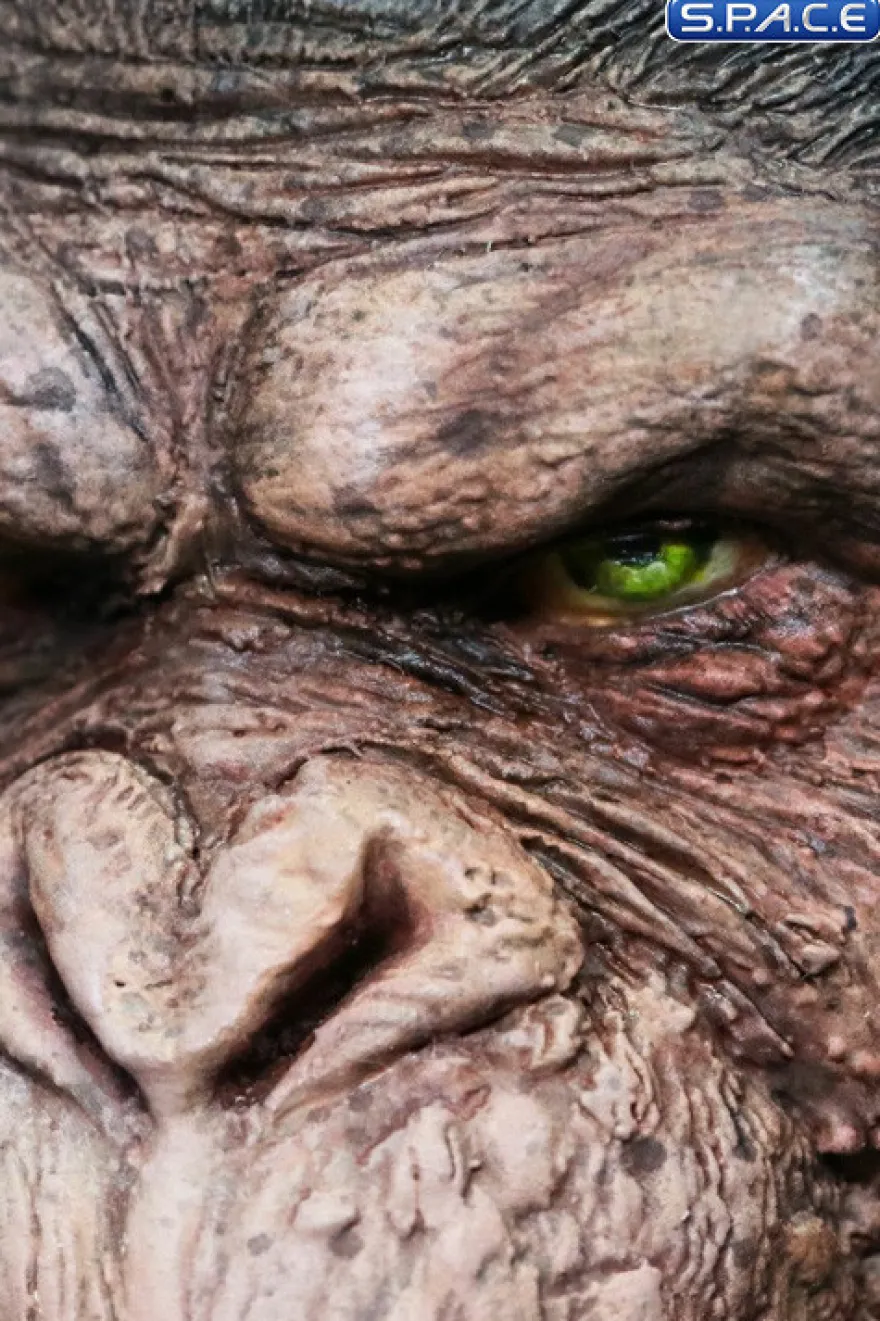 Caesar Deluxe Deformed Real Series