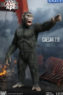 Caesar 2.0 Mixed Media Statue