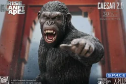 Caesar 2.0 Mixed Media Statue