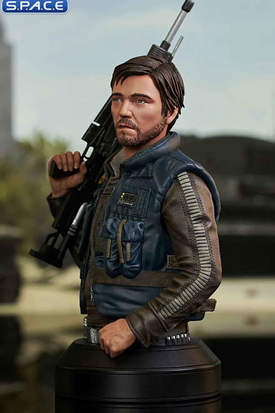 Cassian Andor Bust