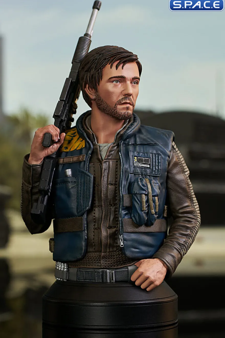 Cassian Andor Bust