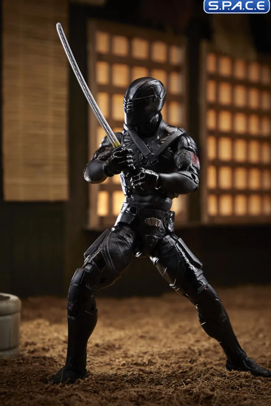 Classified Series Snake Eyes No.16 »Snake Eyes«