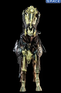 Conabus