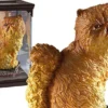 Crookshanks