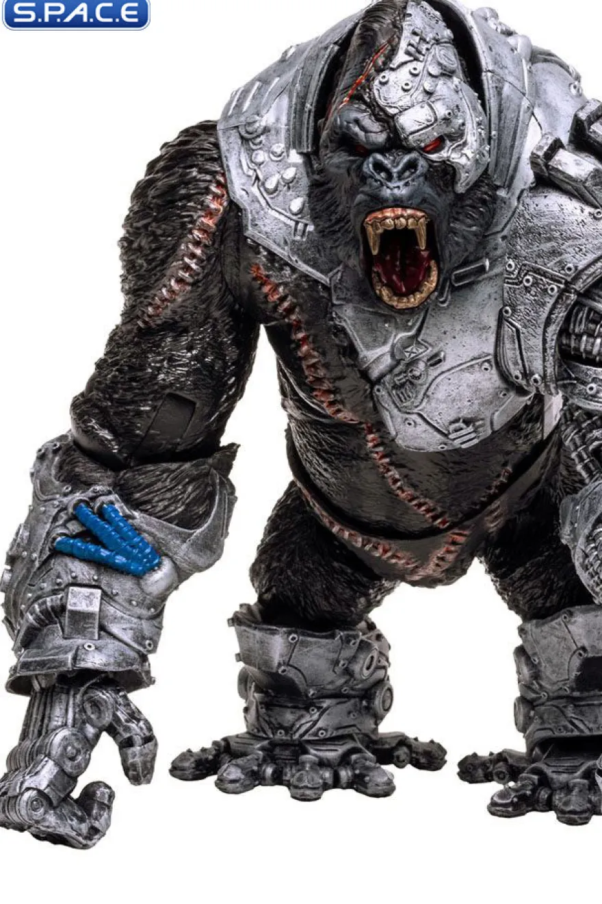 Cy-Gor Megafig