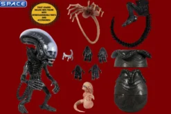 Deluxe Alien Mezco Designer Series
