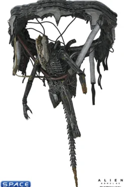 Deluxe Suspended Lab Xenomorph XX121