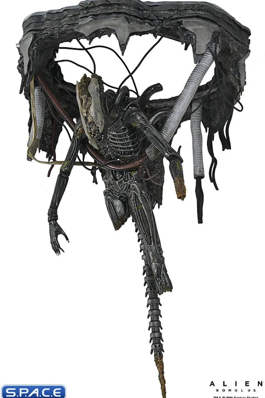 Deluxe Suspended Lab Xenomorph XX121