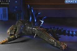 Deluxe Suspended Lab Xenomorph XX121