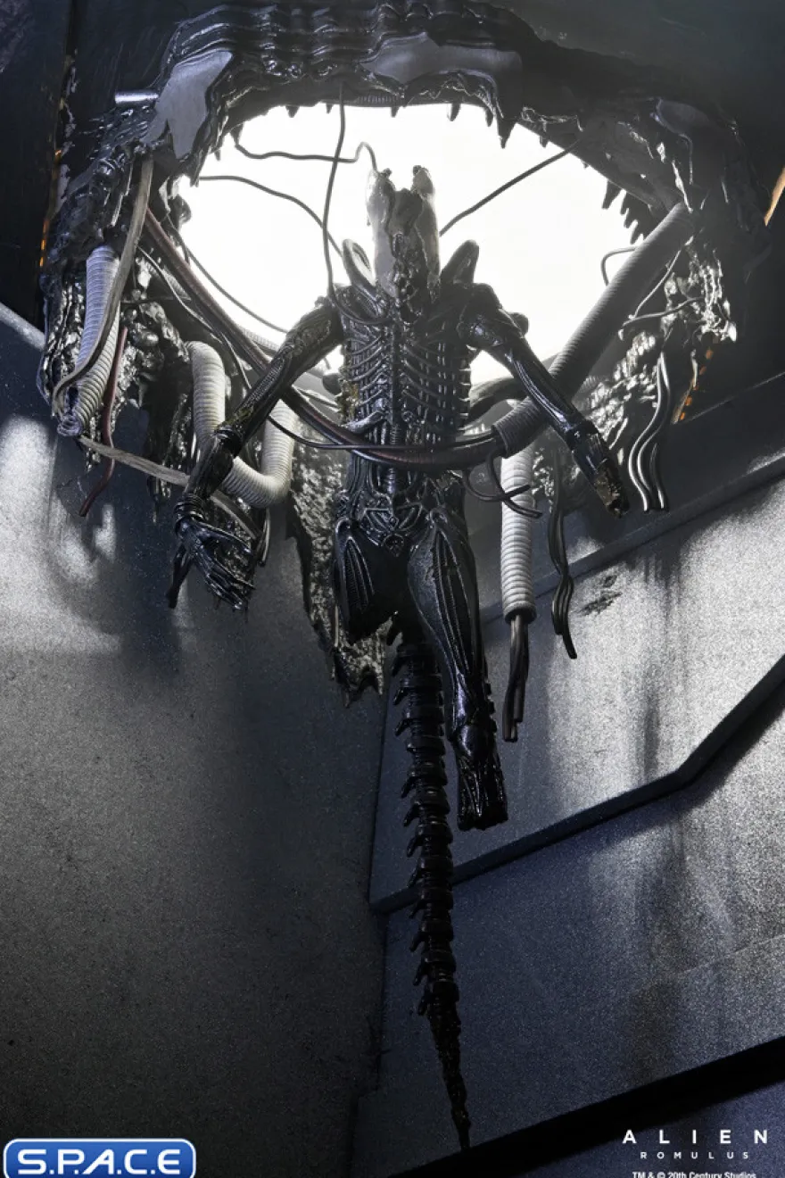 Deluxe Suspended Lab Xenomorph XX121