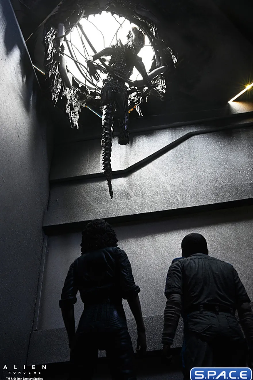 Deluxe Suspended Lab Xenomorph XX121