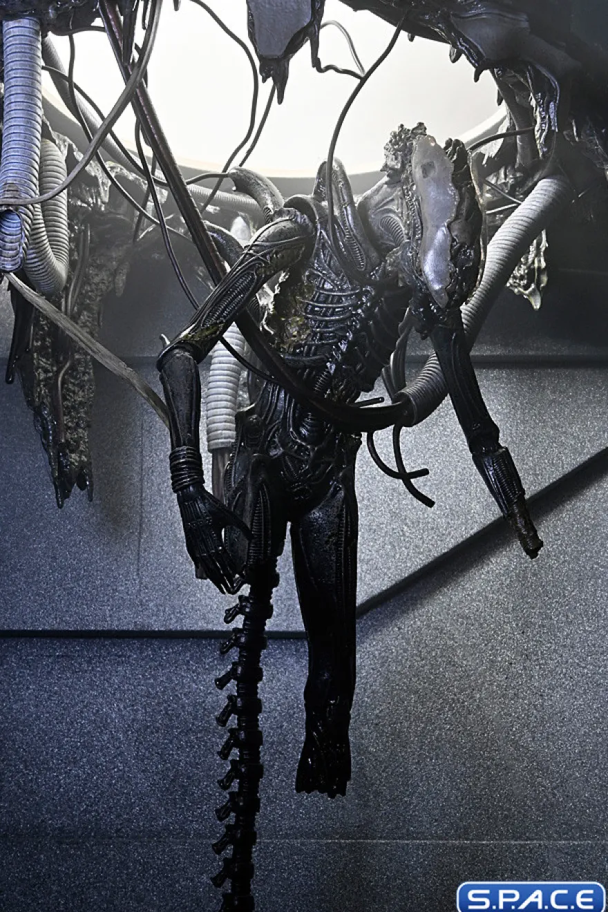 Deluxe Suspended Lab Xenomorph XX121