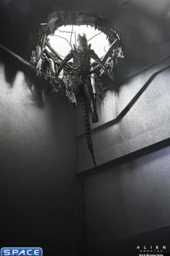Deluxe Suspended Lab Xenomorph XX121