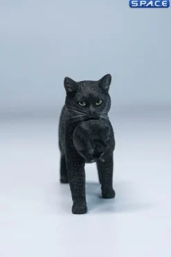 Domestic Cat with Kitten Statue