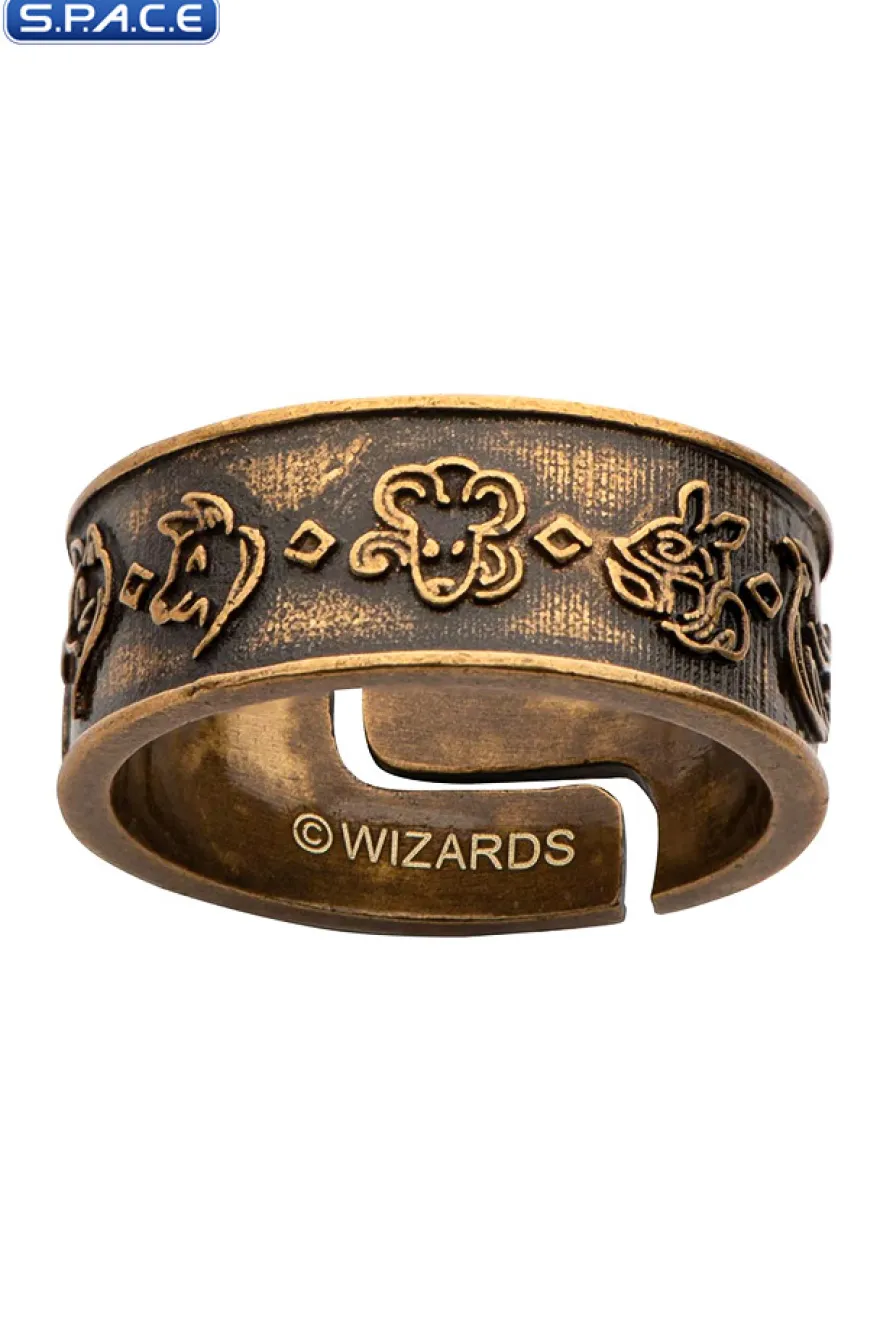 Dungeons & Dragons 6 Ring Set