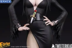 Elvira Maquette