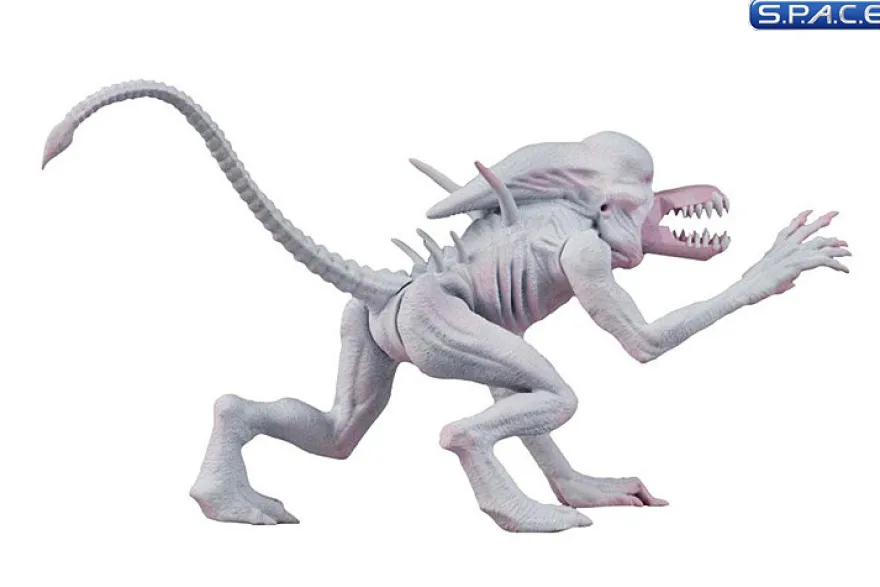 2er Komplettsatz: Alien & Predator