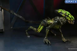 2er Komplettsatz: Aliens: Fireteam Elite Serie 2