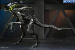 2er Komplettsatz: Aliens: Fireteam Elite Serie 2