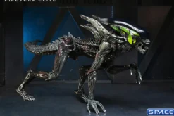 2er Komplettsatz: Aliens: Fireteam Elite Serie 2