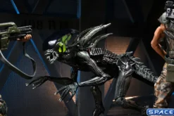 2er Komplettsatz: Aliens: Fireteam Elite Serie 2