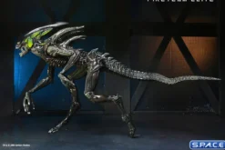 2er Komplettsatz: Aliens: Fireteam Elite Serie 2