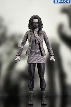 2er Komplettsatz: The Walking Dead Comic Serie 1