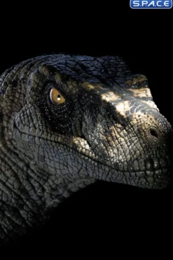 1:1 Female Velociraptor Life-Size Bust