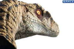 1:1 Female Velociraptor Life-Size Bust