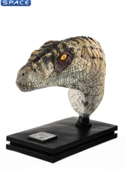 1:1 Female Velociraptor Life-Size Bust