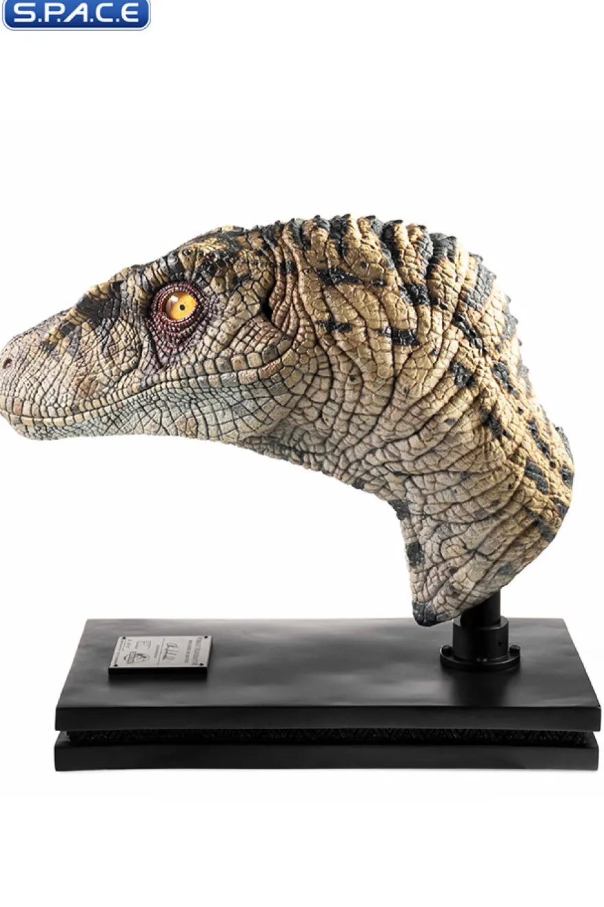 1:1 Female Velociraptor Life-Size Bust