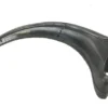 Fossil Raptor Claw