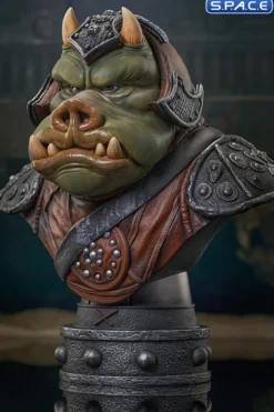 Gamorrean Guard Legends in 3D Bust