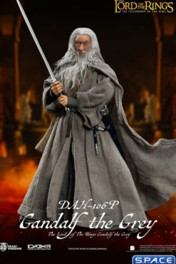 Gandalf the Grey Dynamic 8ction Heroes