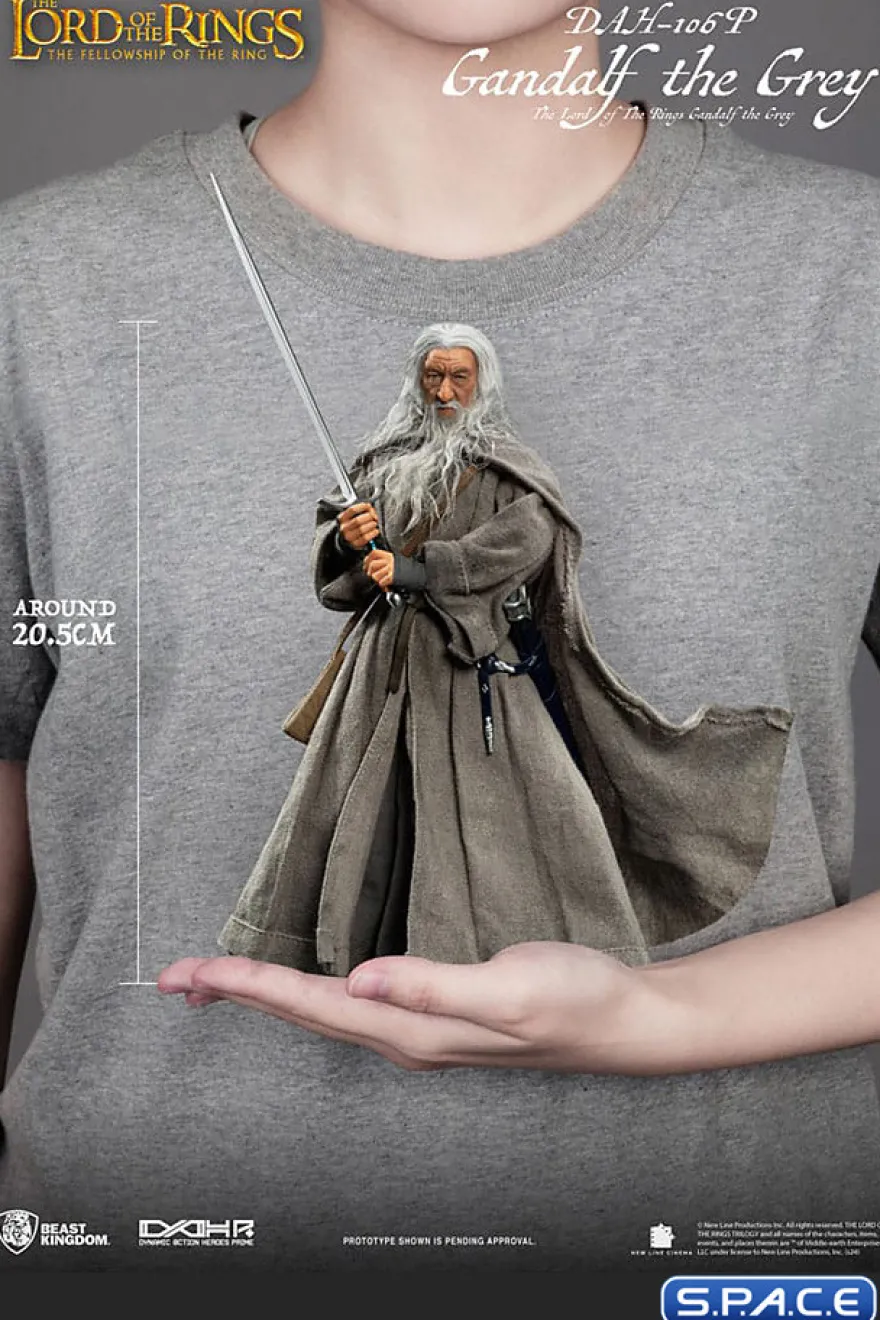 Gandalf the Grey Dynamic 8ction Heroes